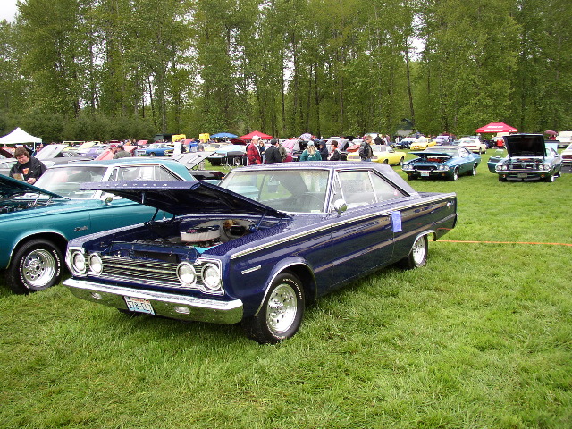 P1010031.JPG